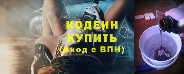 гашик Михайлов