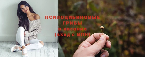 гашик Михайлов