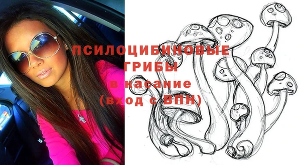 гашик Михайлов