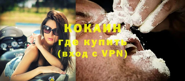гашик Михайлов