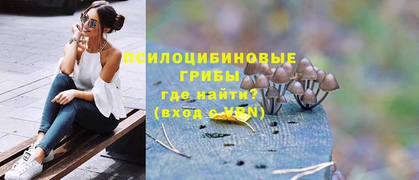 гашик Михайлов
