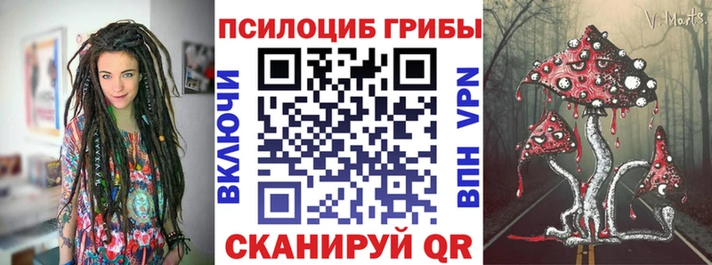 Псилоцибиновые грибы Cubensis  Новоалександровск 