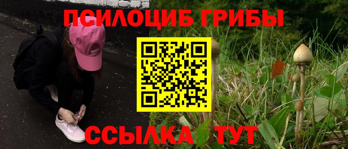 Новоалександровск  купить наркотики цена  Вход с VPN  Галлюциногенные грибы GOLDEN TEACHER 