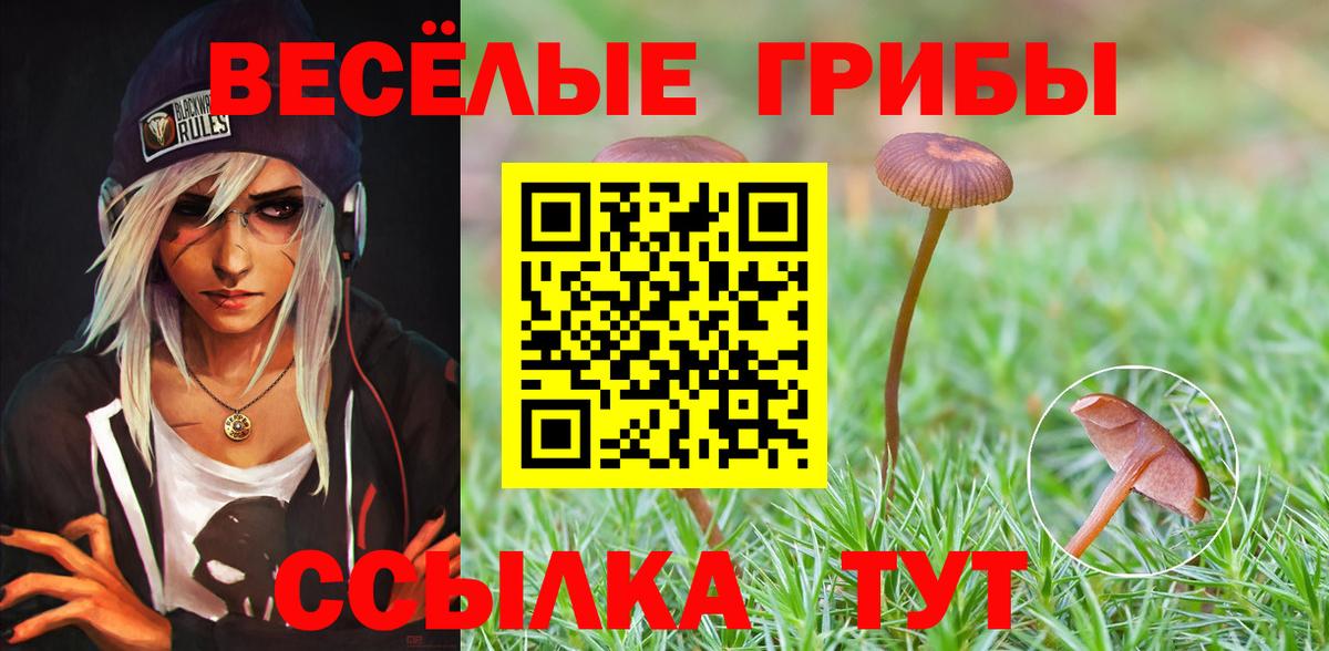 ГАШИШ  Меф МЯУ МЯУ   Вход с VPN  А ПВП СК   Новоалександровск  Как найти закладки?  Меф  Codein 