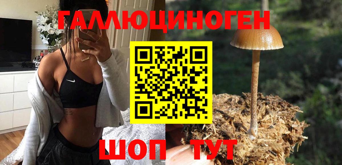 Псилоцибиновые грибы MAGIC MUSHROOMS Новоалександровск